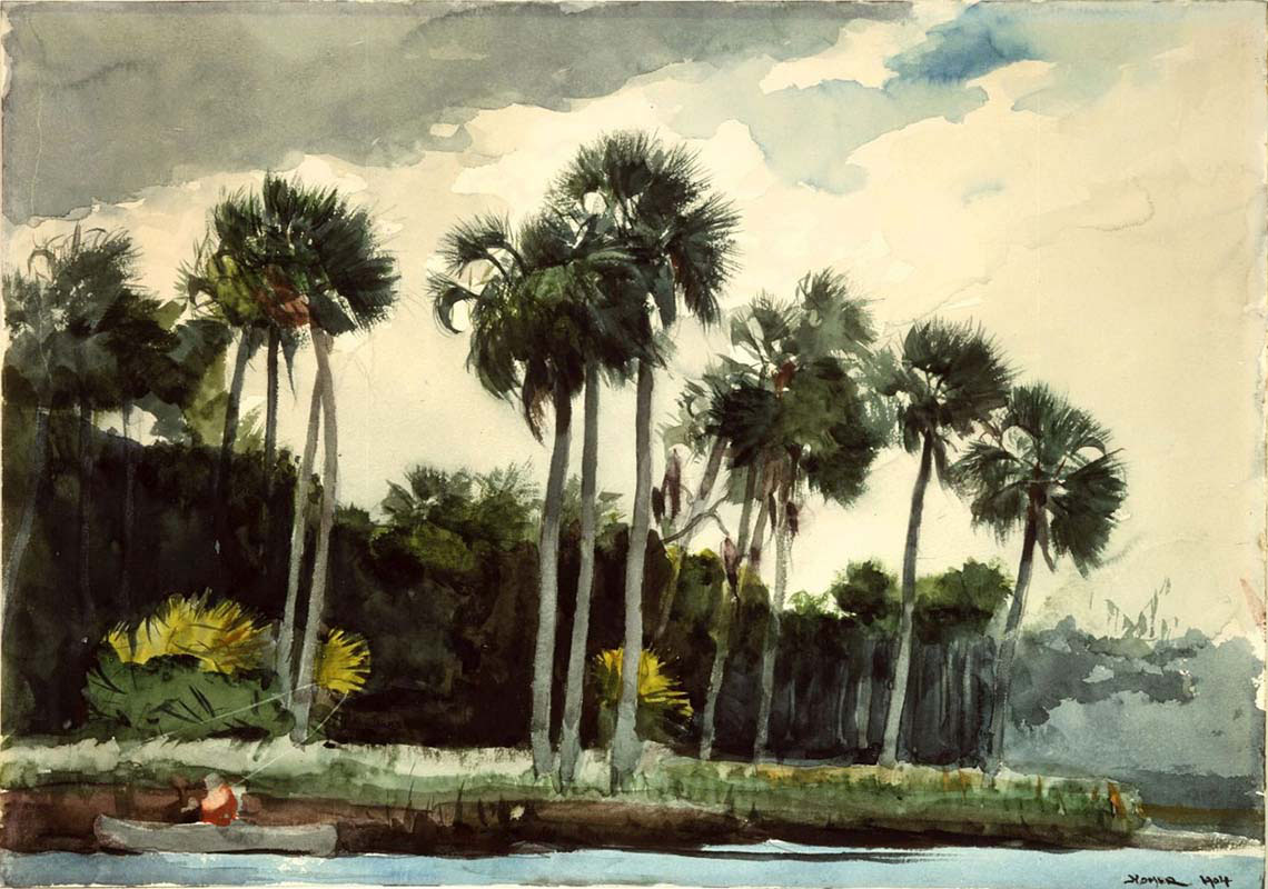 Red Shirt Homosassa Florida